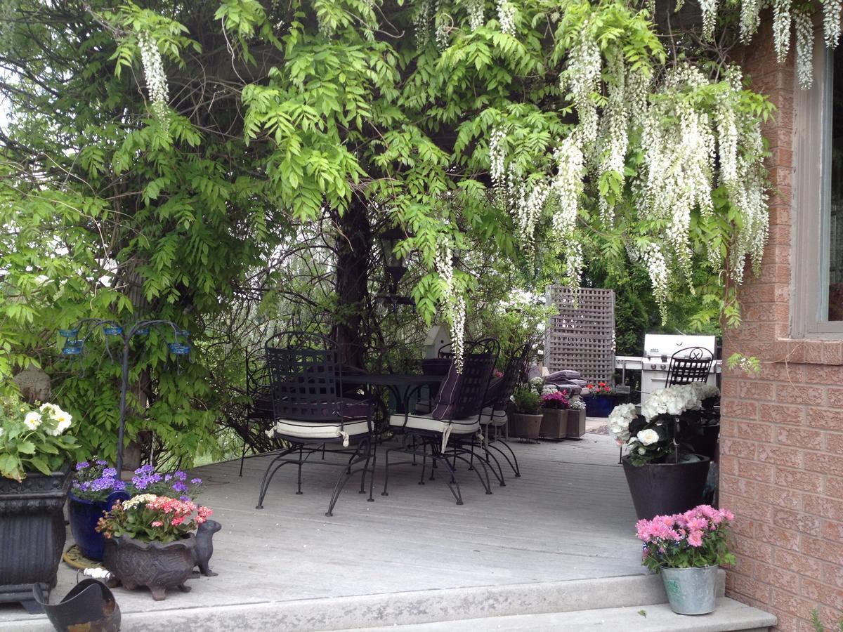 Lulu'S Bed & Breakfast Niagara-on-the-Lake Exterior photo